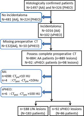 Computed Tomography-Based Machine Learning Differentiates Adrenal Pheochromocytoma From Lipid-Poor Adenoma